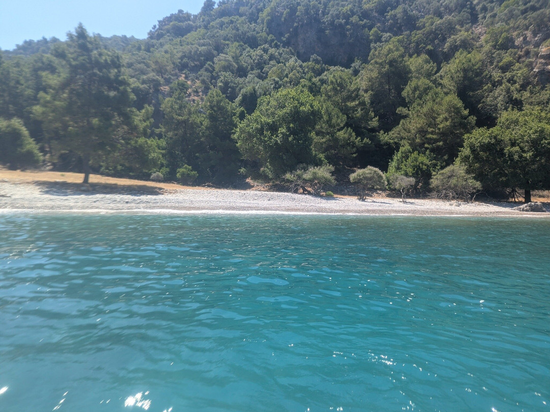 Kingfisher 1 Boat Tours-穆拉必去景点