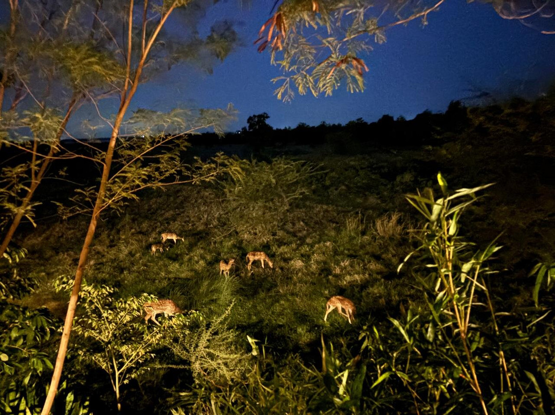 Wild Earth Safari-Chandrapur必去景点