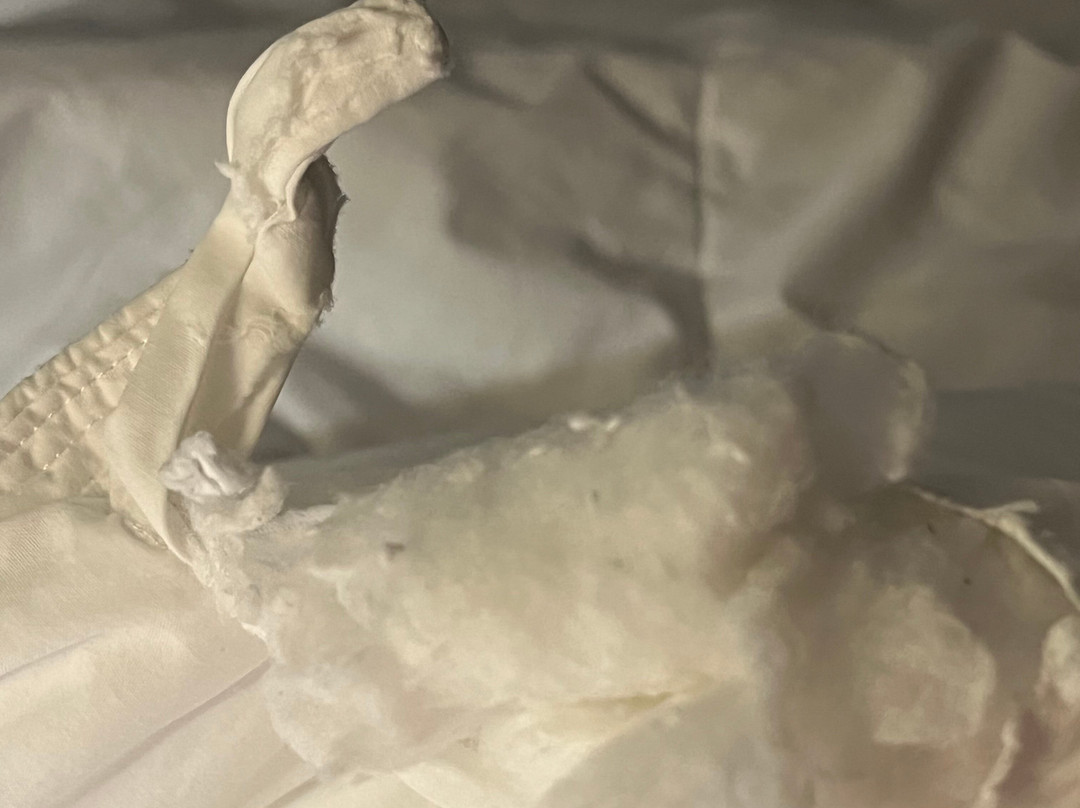 La Quinta Inn & Suites by Wyndham Knoxville North I-75主图