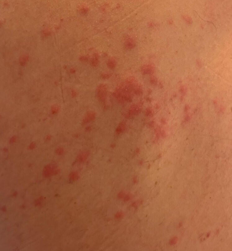 Mangrove Center-Kralendijk必去景点