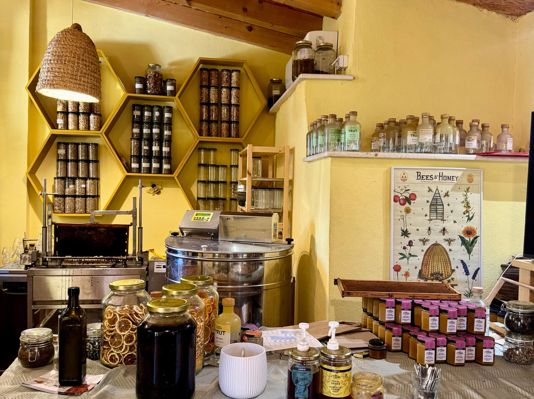 OPG Komparak-科尔丘拉镇必去景点