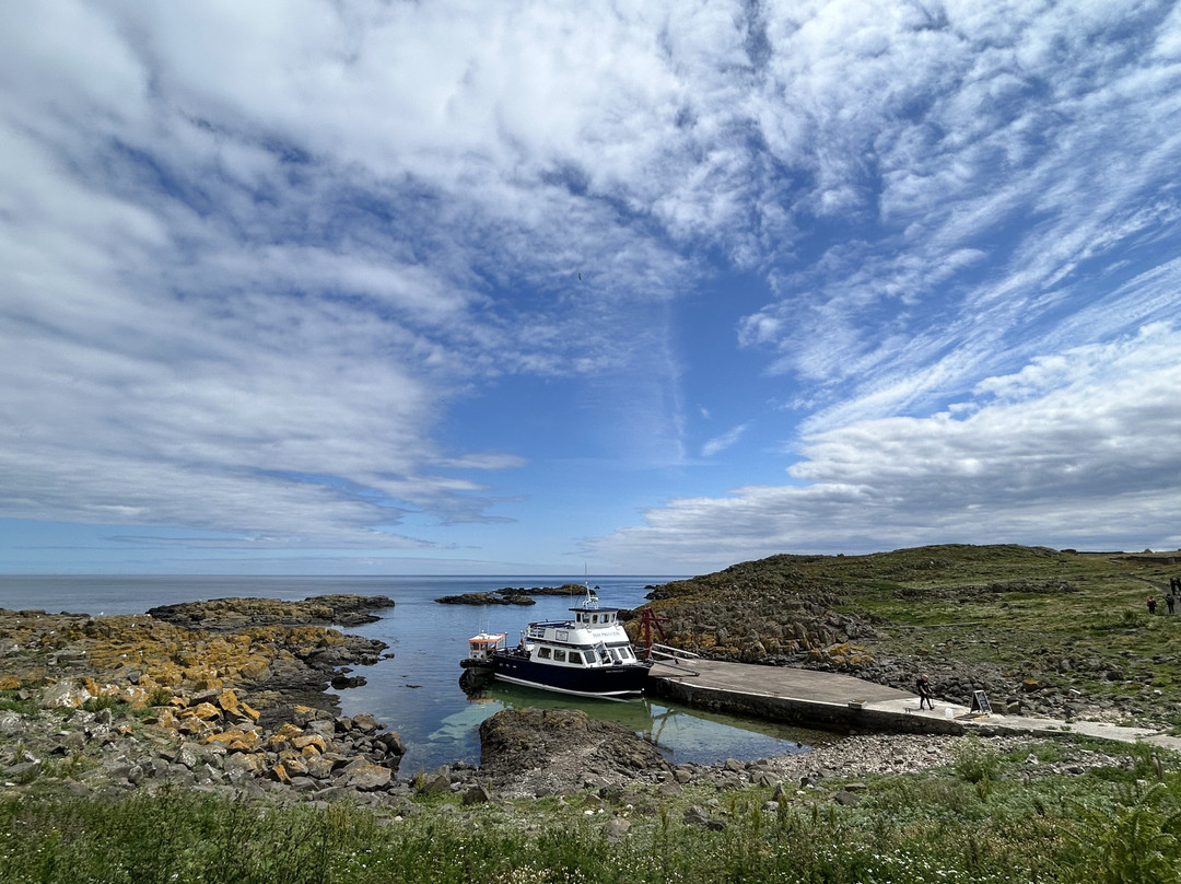 Anstruther Pleasure Cruises-Boat Day Tours-Anstruther必去景点