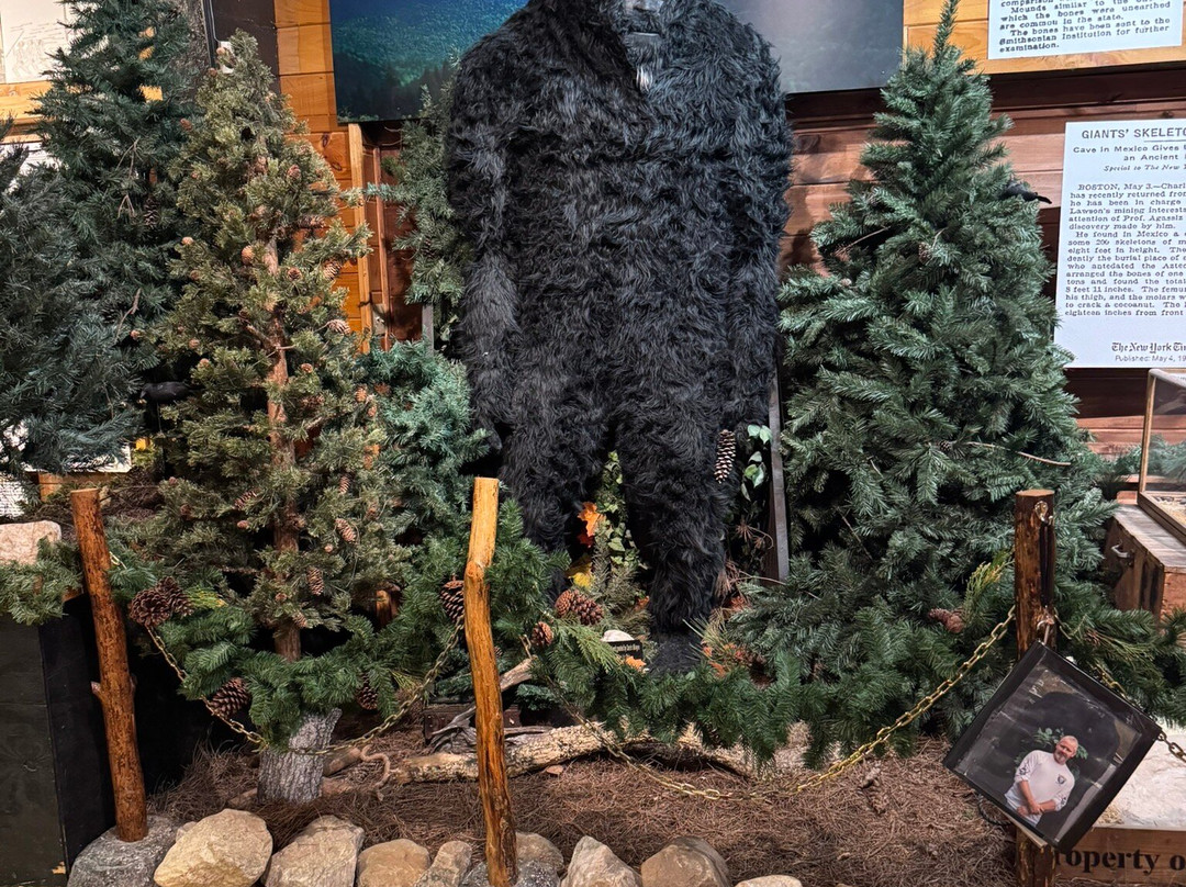 Expedition:BIGFOOT!-Cherry Log必去景点