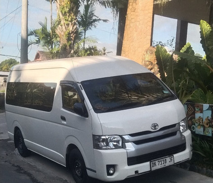 I Made' Wijaya Private Bali Tours and Transport Service-登巴萨必去景点