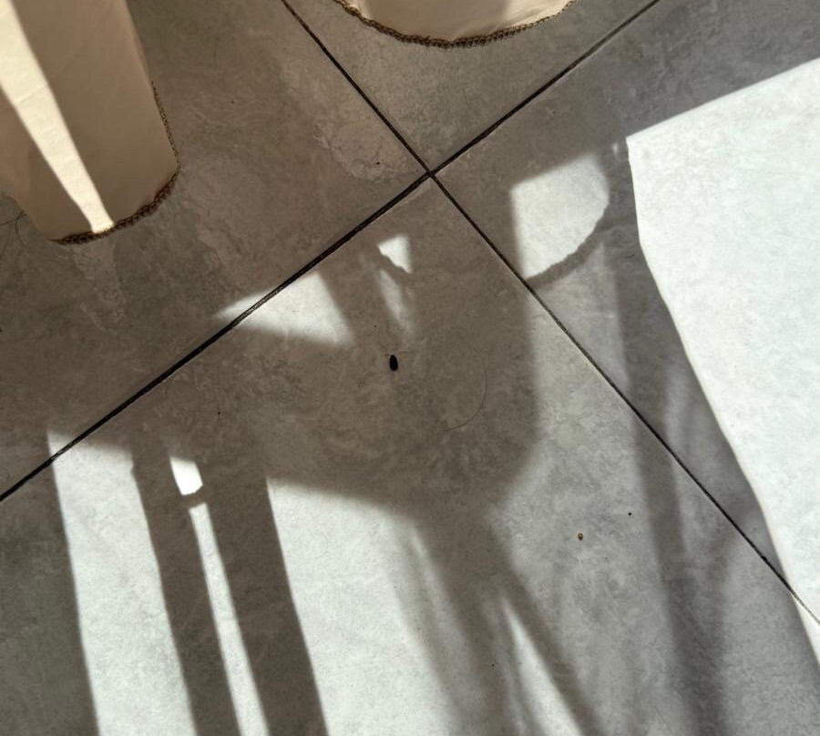 Ampuria Inn Hotel主图