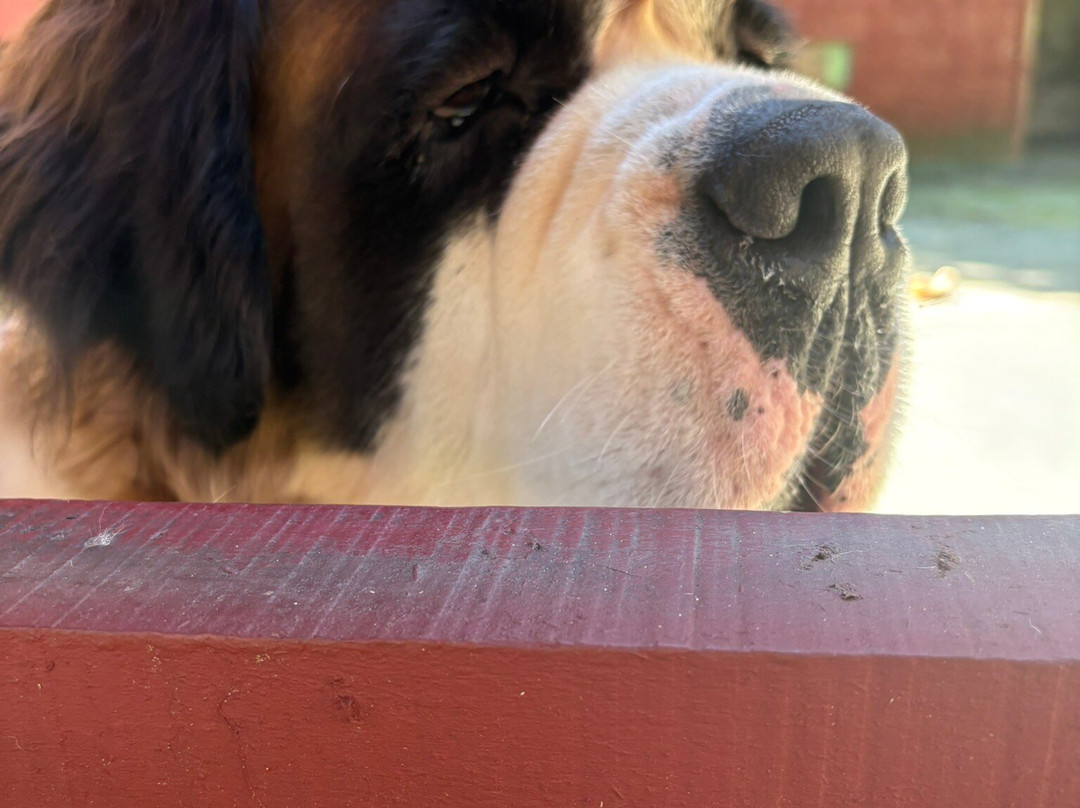 Villaleta-蒙特贝尔德必去景点