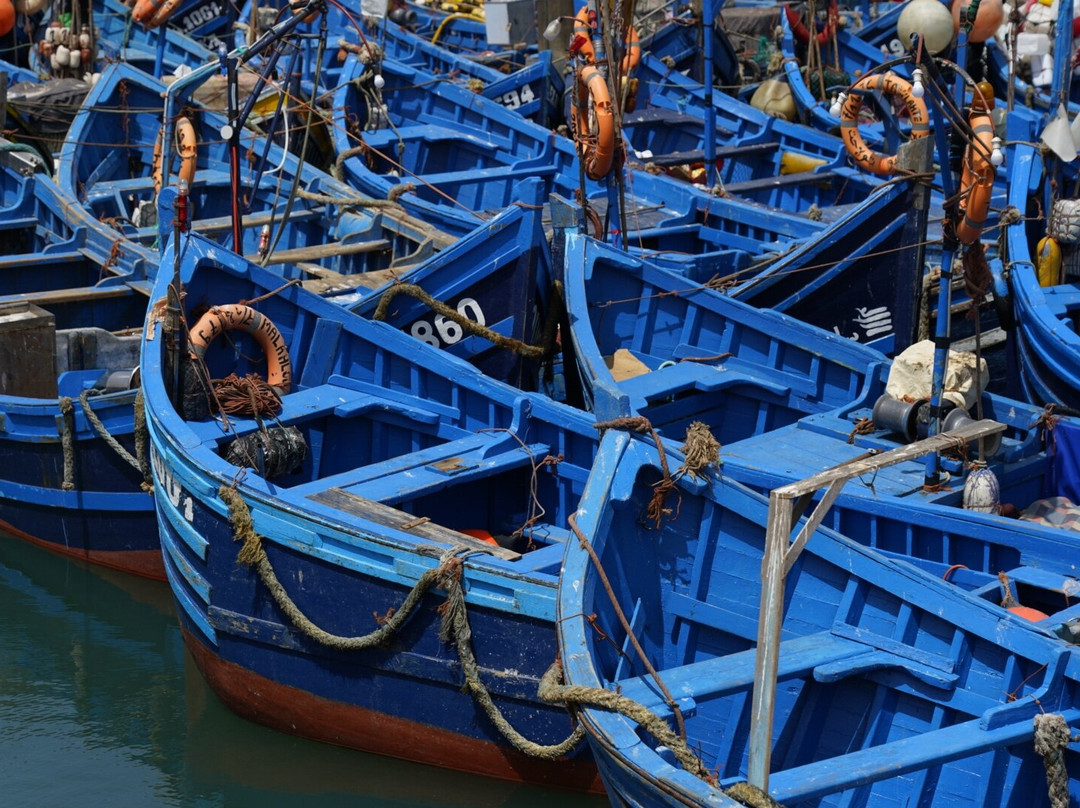 Trans Marrakech-马拉喀什必去景点