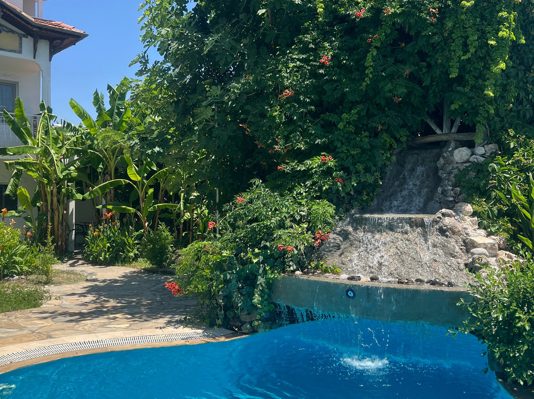 Dalyan Central Park Hotel主图