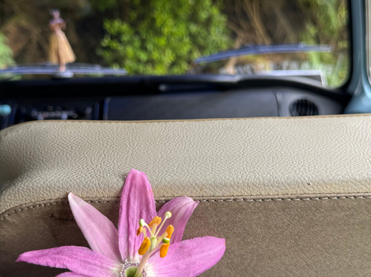 Sense and Flavours Tours-沙尔必去景点