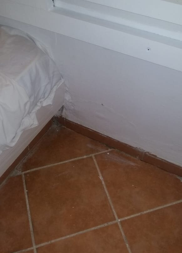 Caribbean World Mahdia主图