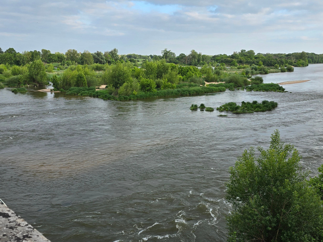 Pont de Beaugency-Beaugency必去景点