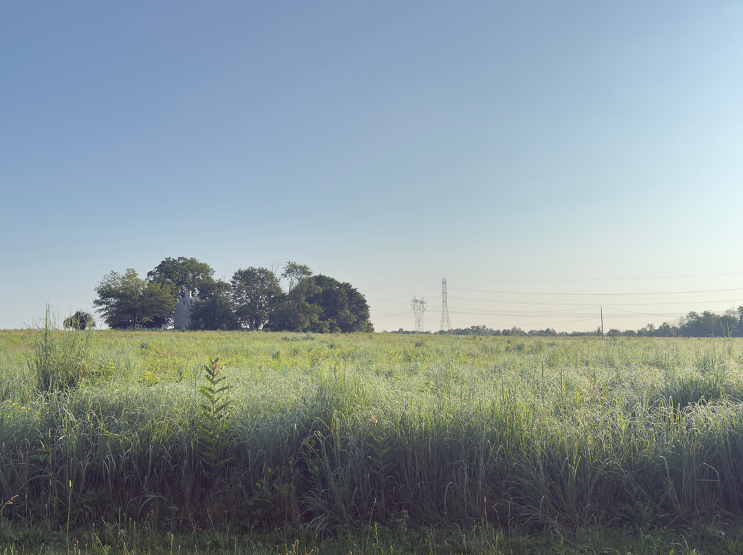 Negri-Napote Native Grassland Preserve-萨默塞特必去景点