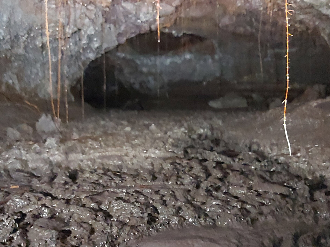 Tunnels de lave Réunion: Volcanorun-Saint-Philippe必去景点