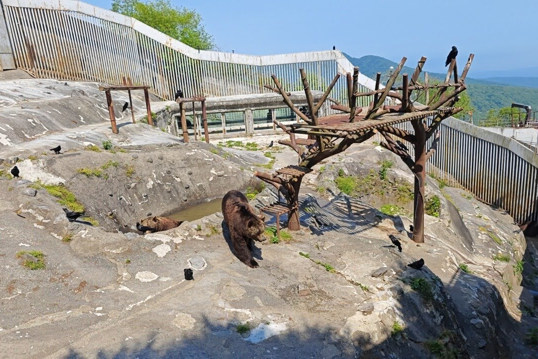登别熊牧场-登别市必去景点