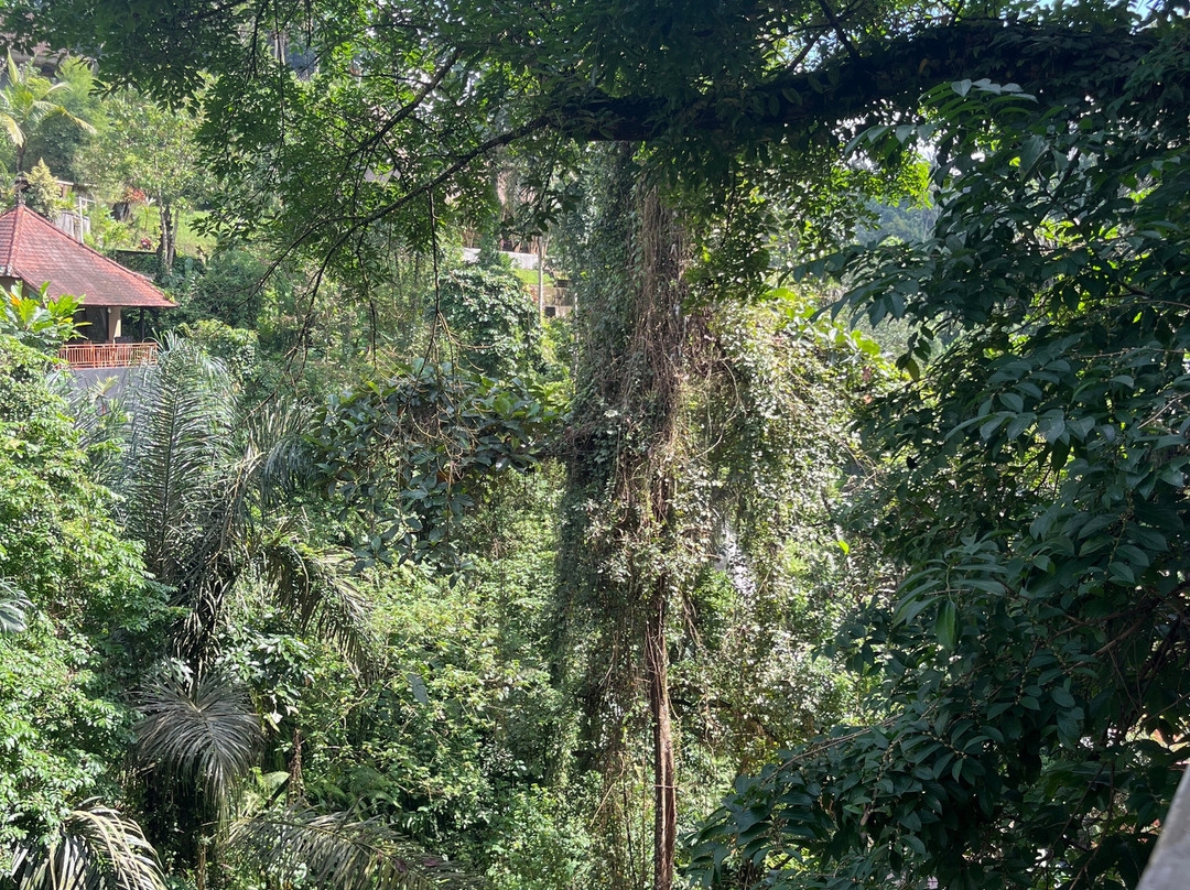 Andaru Spa-乌布必去景点