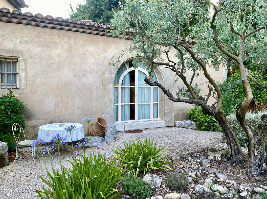 Mas de la Gravière主图