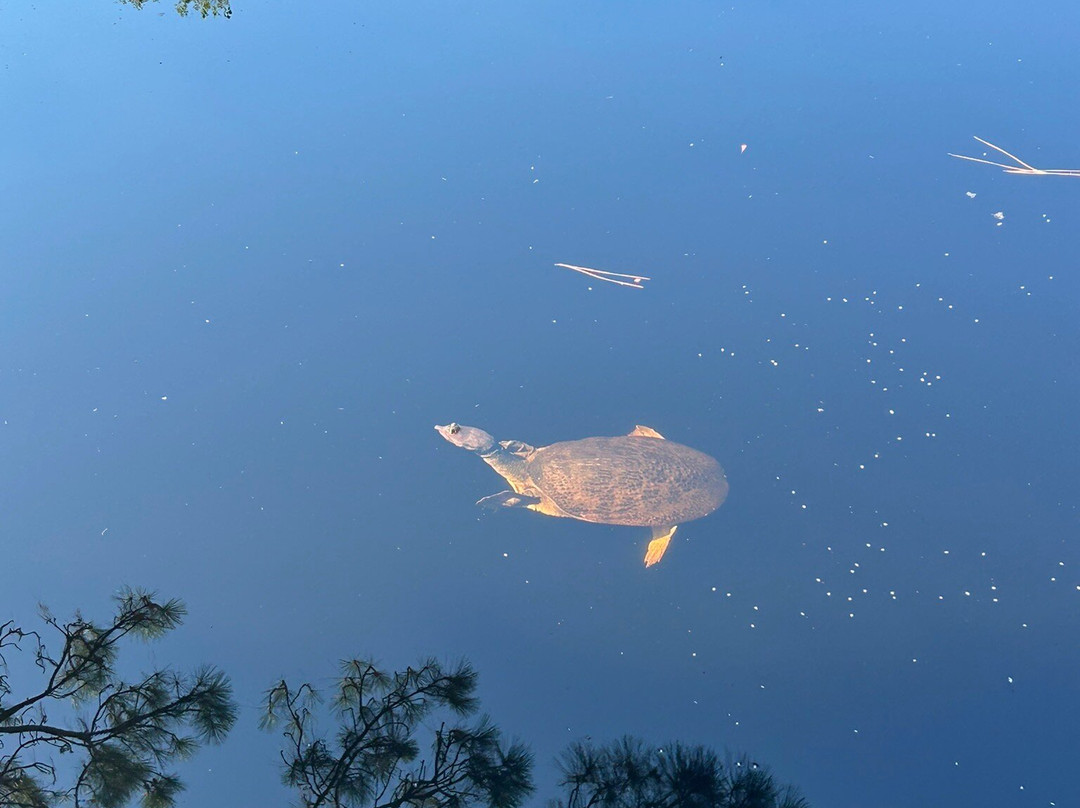 Dauphin Island Audubon Bird Sanctuary-Dauphin Island必去景点