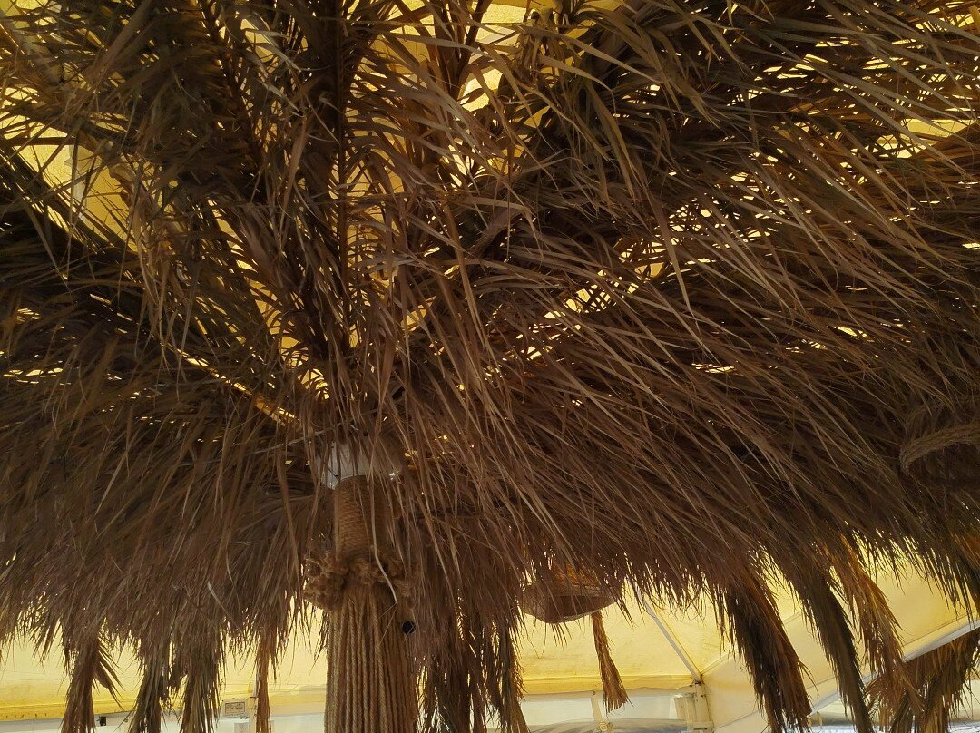 Tuka Beach - Lido A Bisceglie-比谢列必去景点