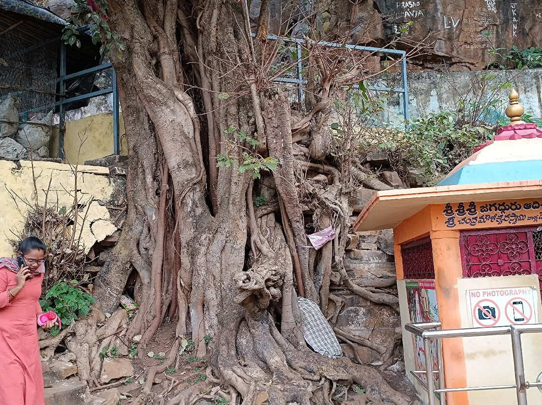 Phaladhara Panchadhara-Srisailam必去景点
