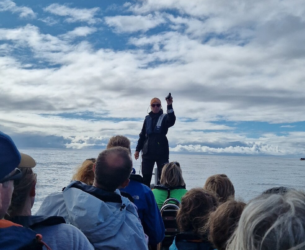 Azores Whale Watching TERRA AZUL-Vila Franca do Campo必去景点