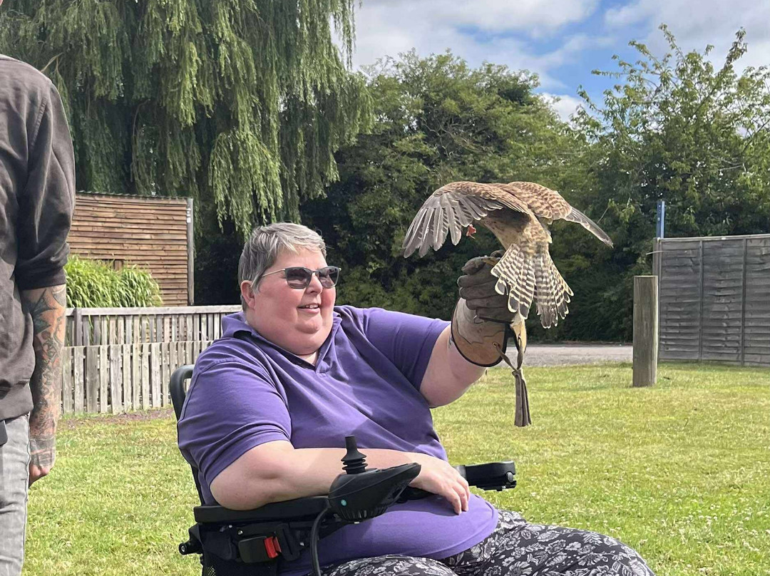 Baytree Owl and Raptor Centre-Spalding必去景点