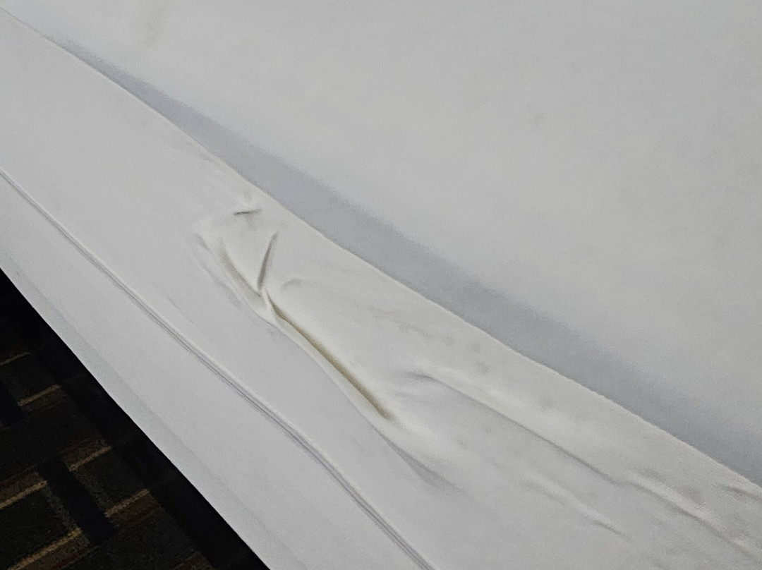 Super 8 by Wyndham Logansport主图