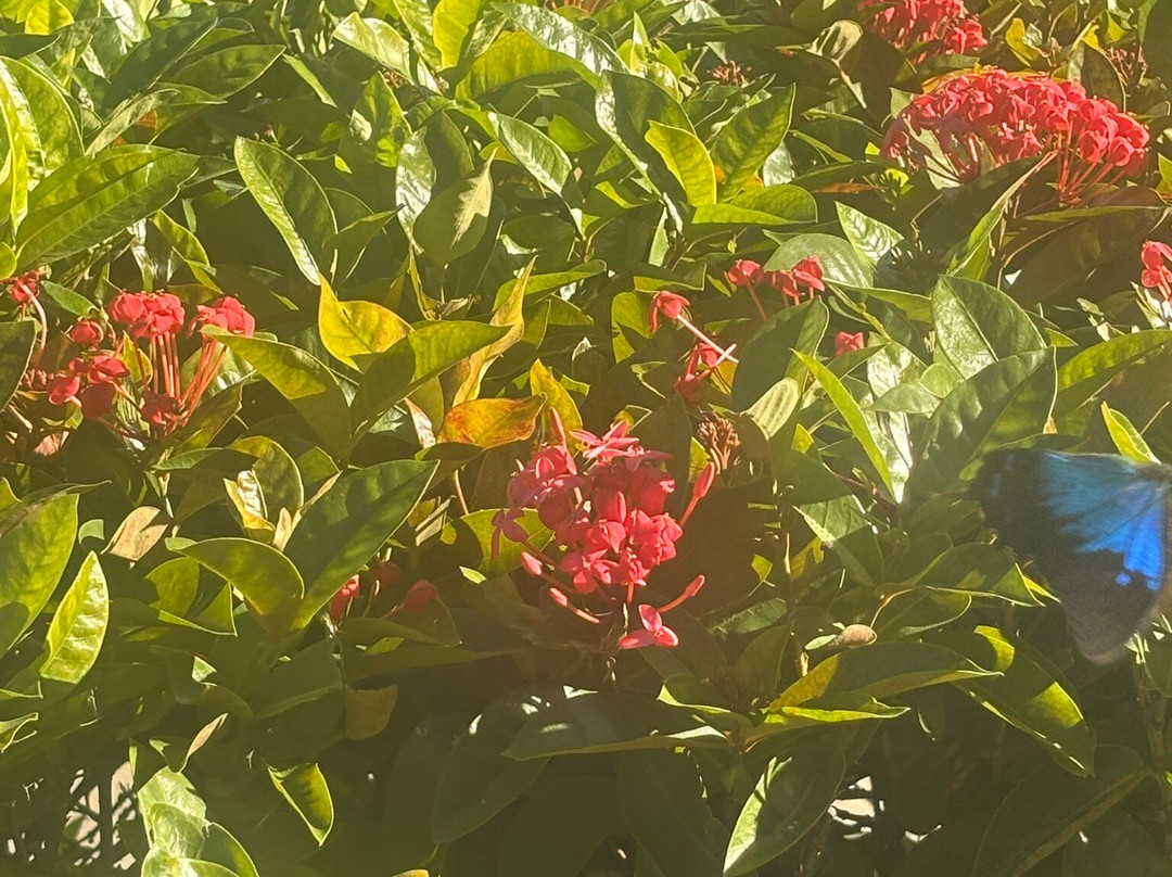 Fitzroy Island National Park-菲茨罗伊岛必去景点