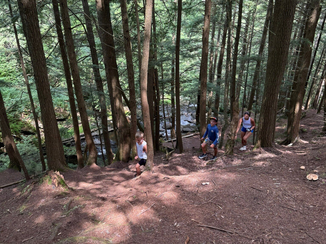Thundering Brook Falls Trail-基灵顿必去景点