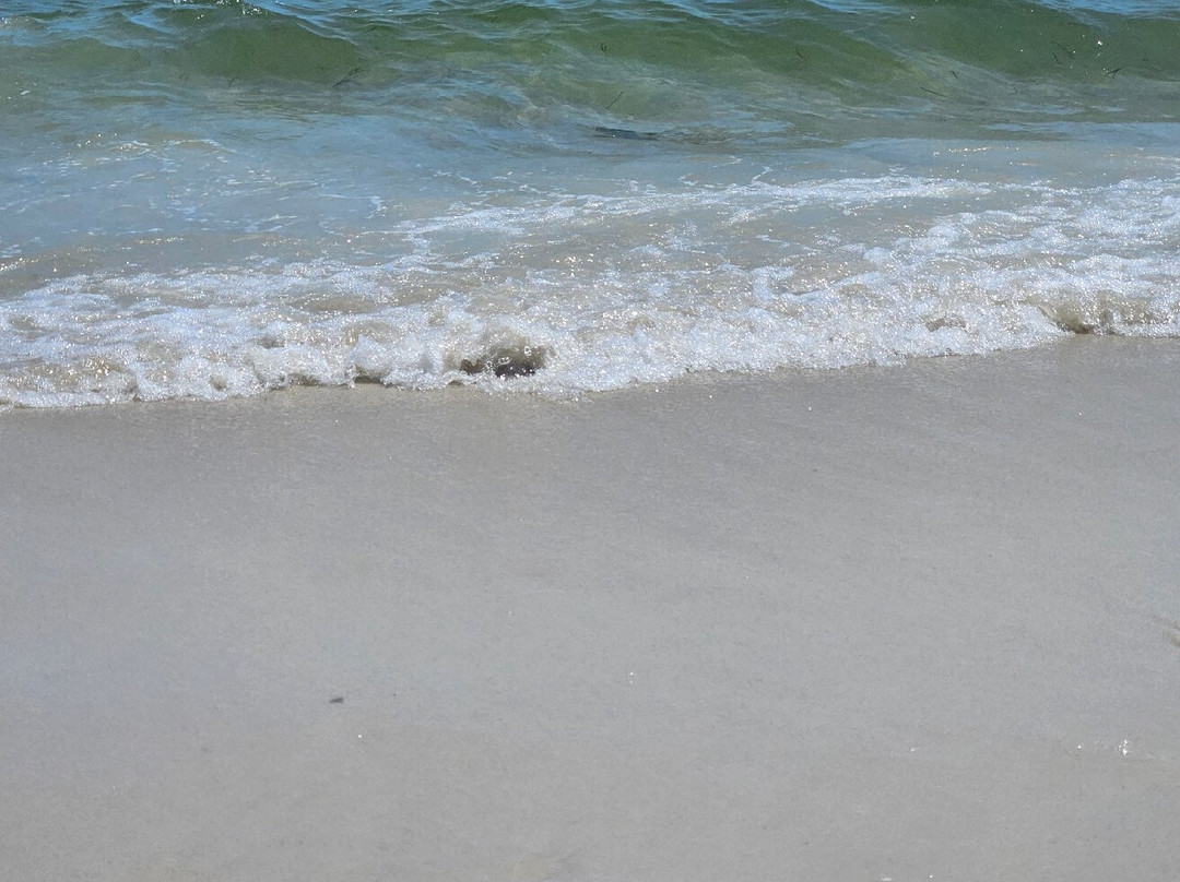 Parkers River Beach-West Yarmouth必去景点