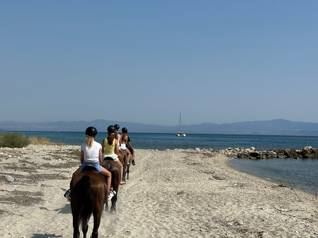 Horse-Ranch Manippos Halkidiki-Kassandra必去景点