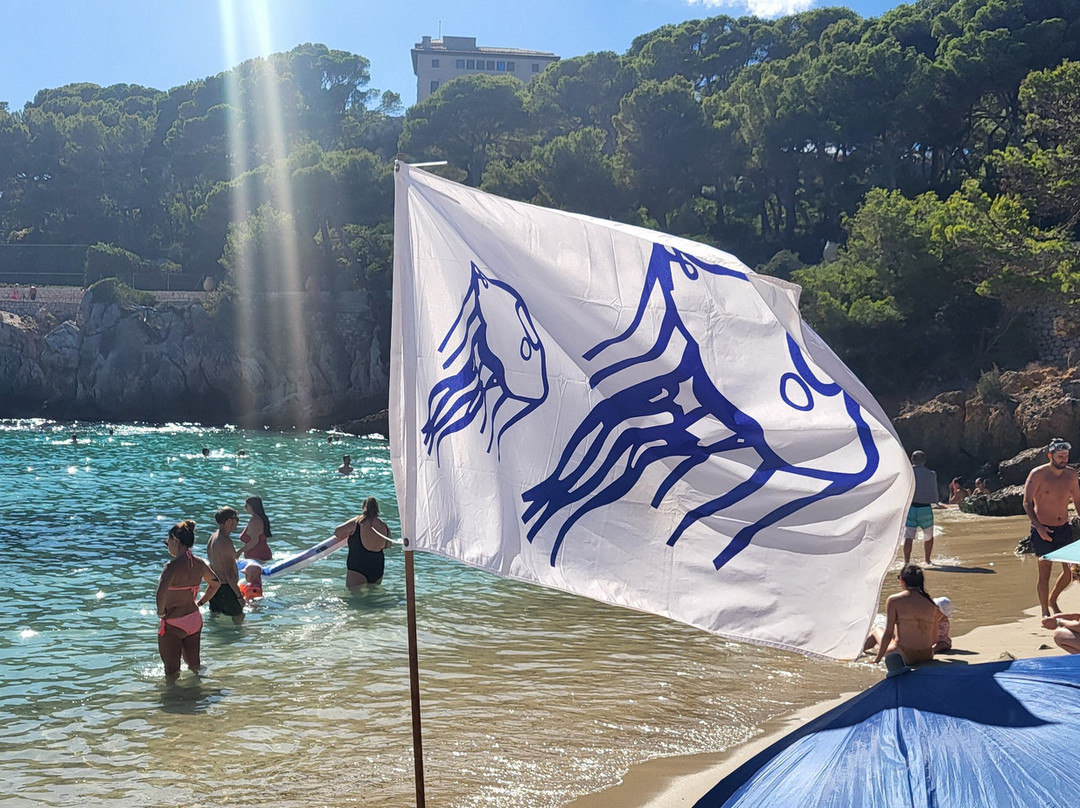 Cala Gat-Cala Ratjada必去景点