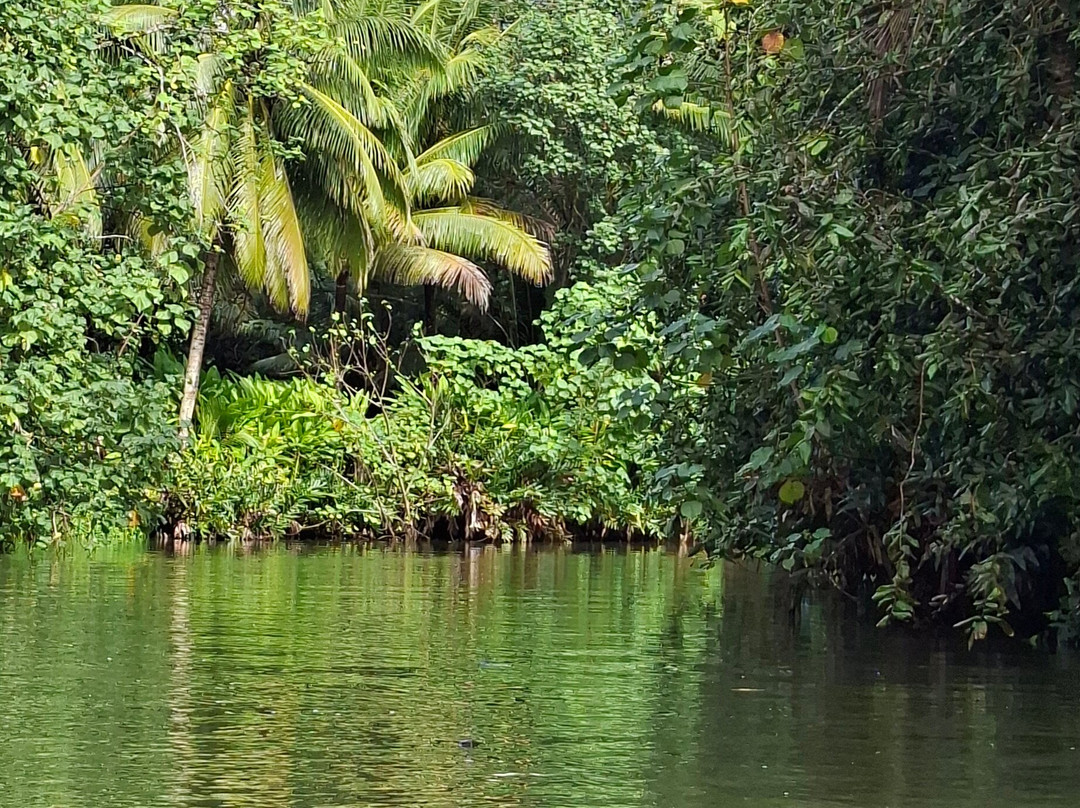 Raiatea Activities-Uturoa必去景点