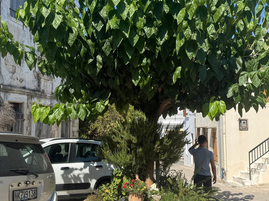 Cherry travel-克里特岛必去景点