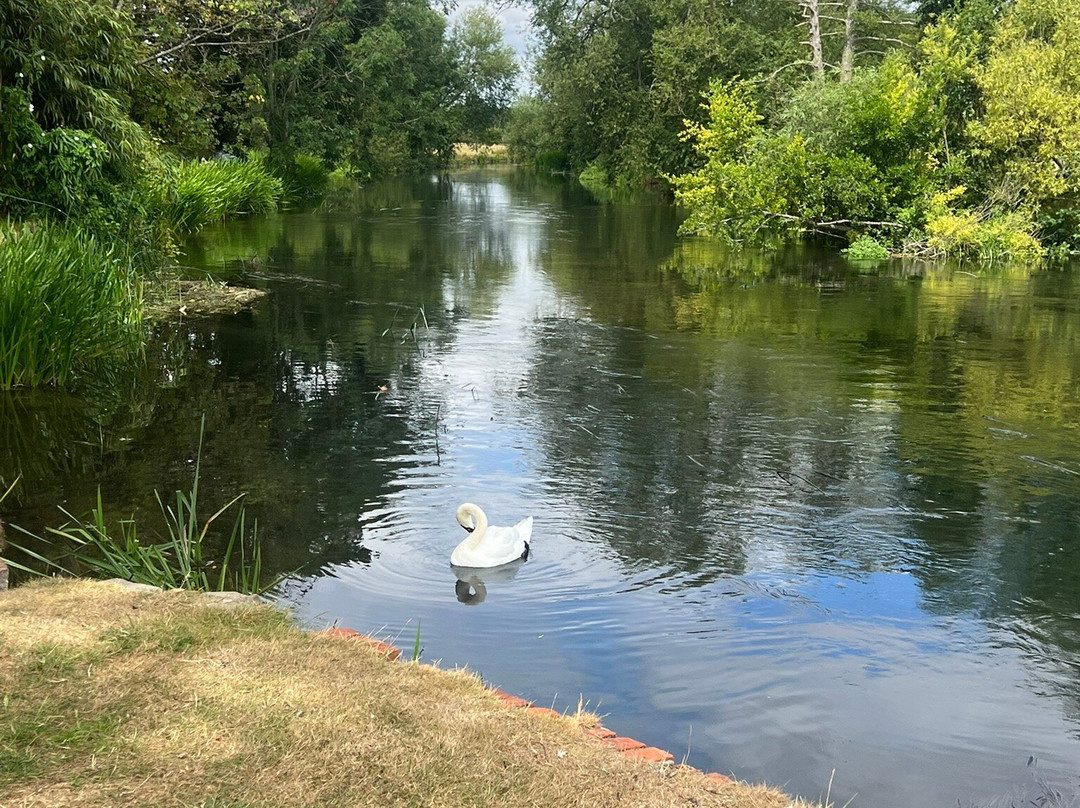 Salisbury Punting-索尔兹伯里必去景点