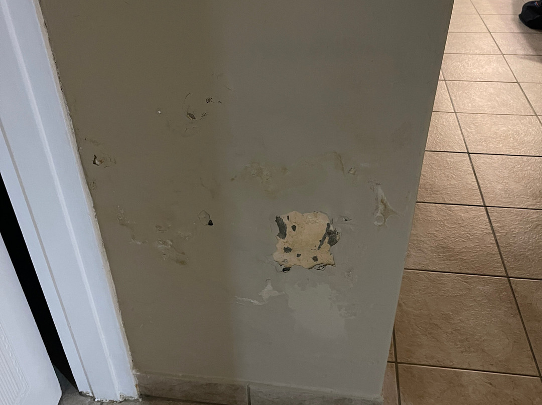 Midlands Saddle & Trout Resort主图