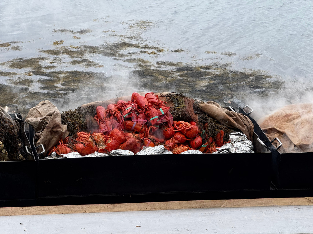 Cabbage Island Clambakes-布斯贝港必去景点