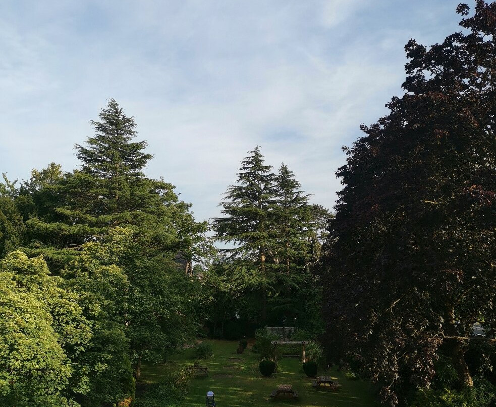 Best Western Pinewood Manchester Airport-wilmslow Hotel主图