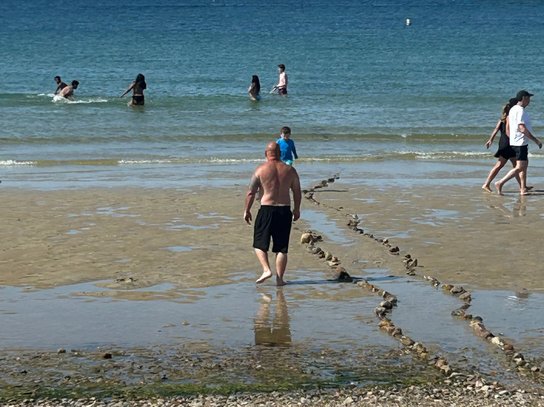 Howes St Beach-Dennis必去景点