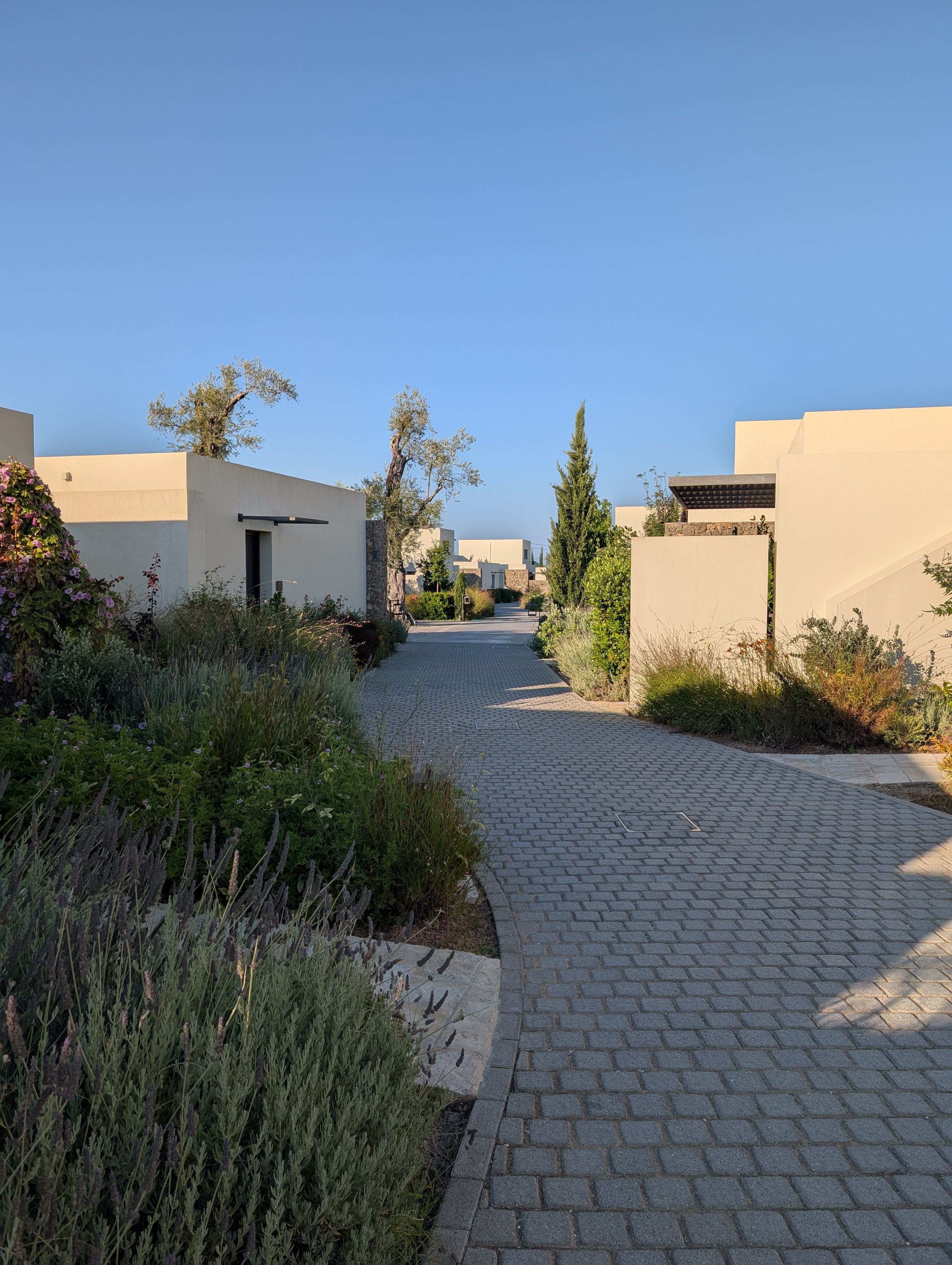 The Olivar Suites-浴室