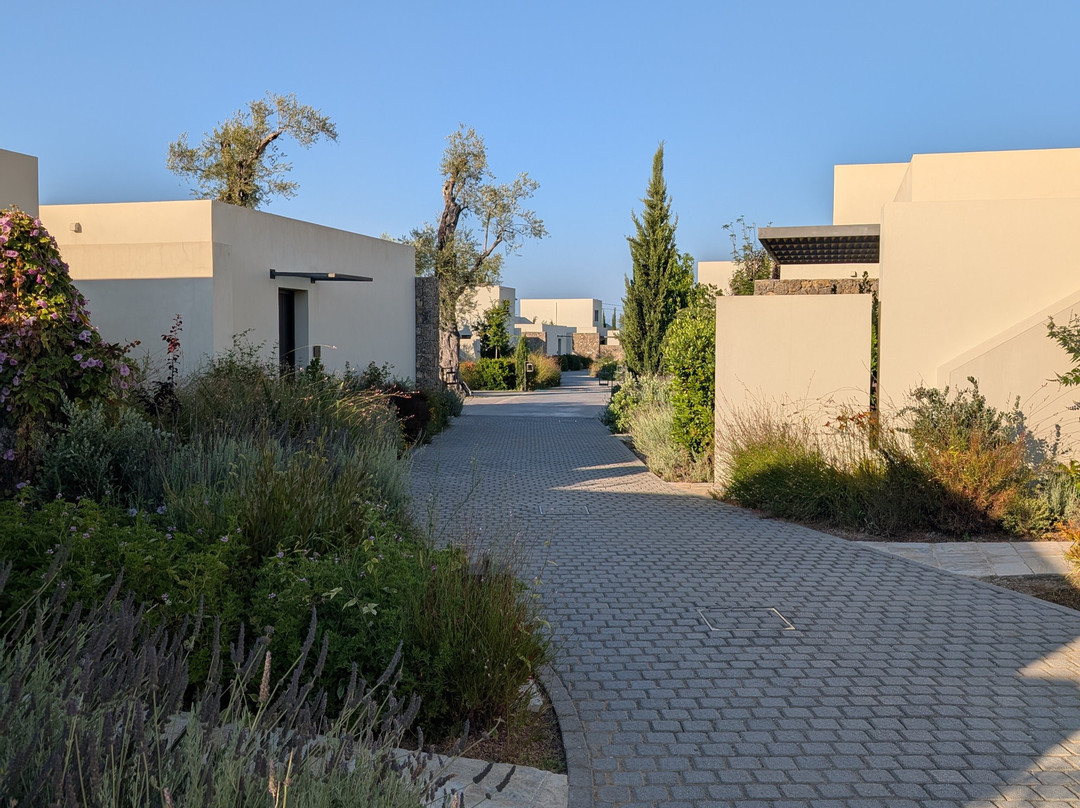 The Olivar Suites主图