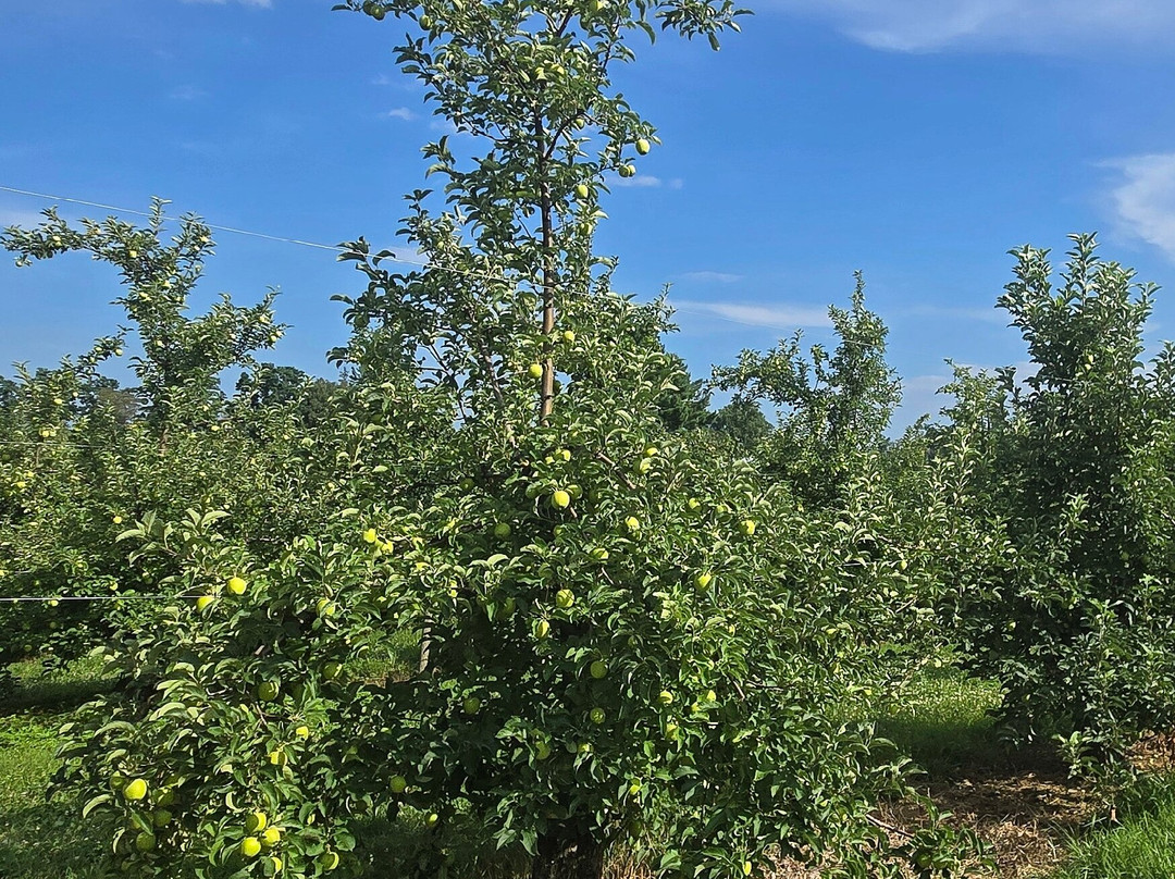Angry Orchard-Walden必去景点