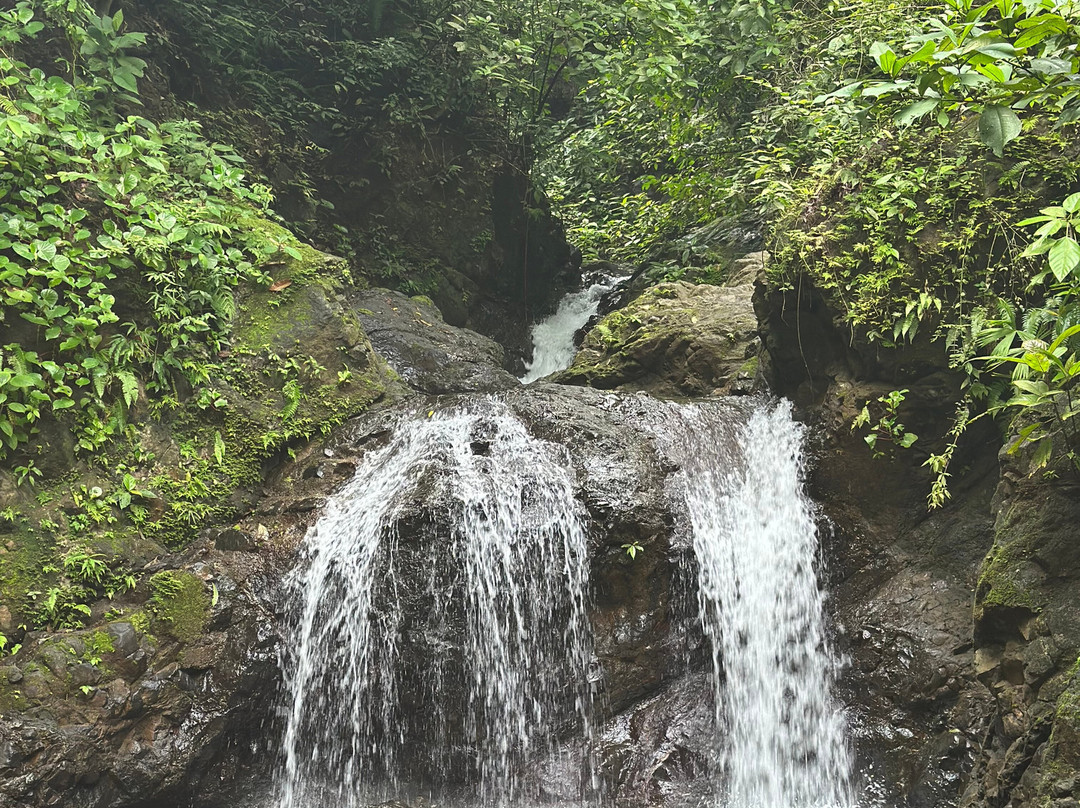 Neofauna Costa Rica-哈科必去景点