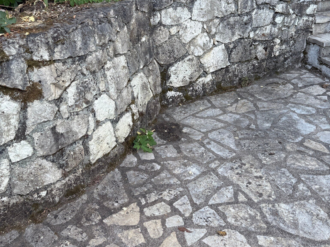 Vliho Bay Suites & Apartments主图