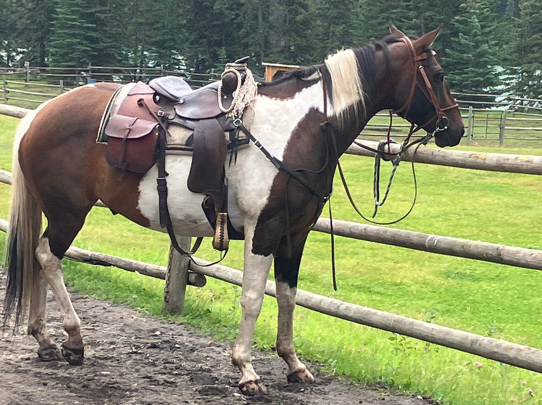 Old Entrance Trail Rides-兴顿必去景点
