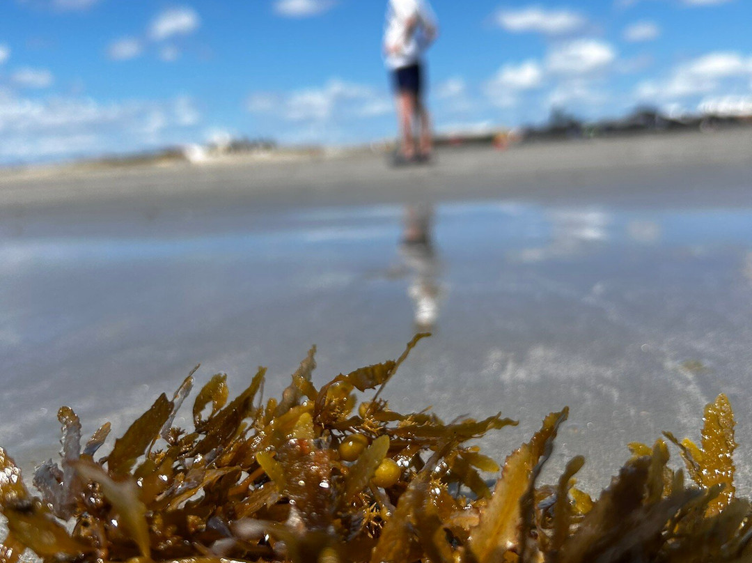 Atalaia Beach-Parnaiba必去景点