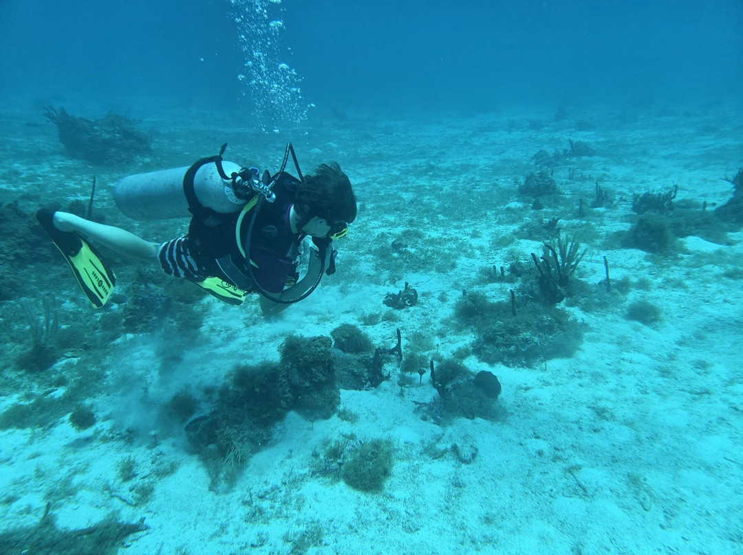 JJ Divers St Thomas-夏洛特阿马利亚必去景点