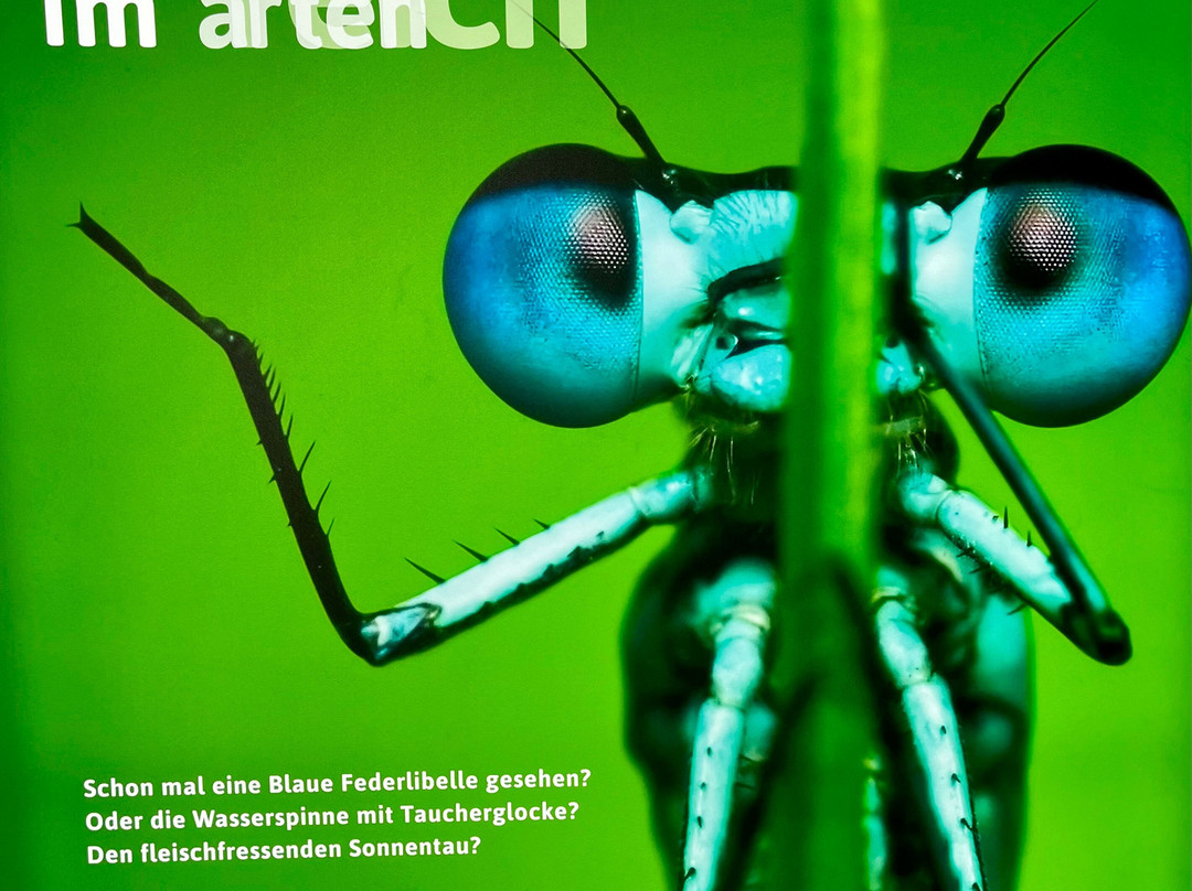 Artenreich Ausstellung-Isny im Allgaeu必去景点