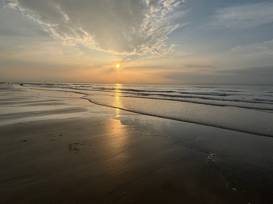 Chambres d'Hotes Les Pins主图