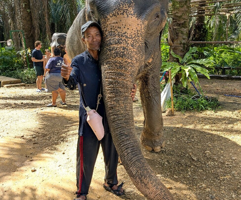 Khao Sok Elephant Conservation Centre-Rommani必去景点