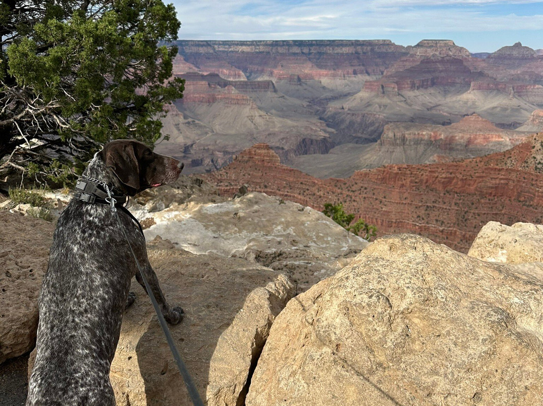 大峡谷国家公园-大峡谷国家公园必去景点